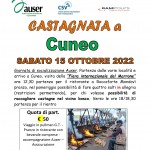 castagnata a cuneo 2022 quadro