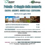 Immagine 2023-04-06 133610